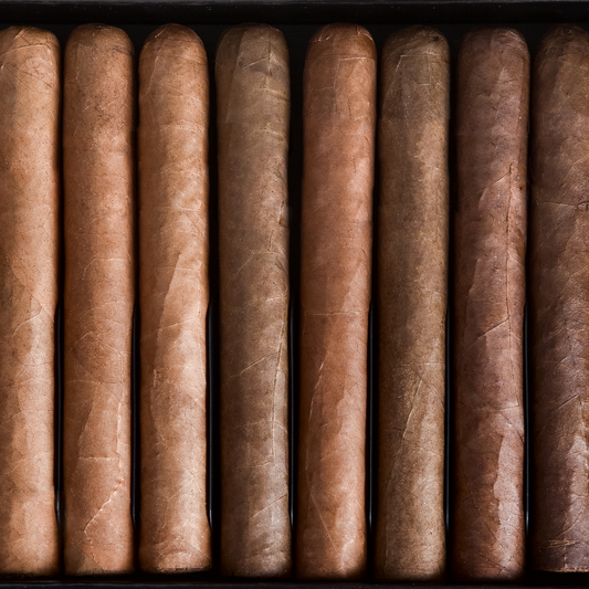 Cigar 10-Pack