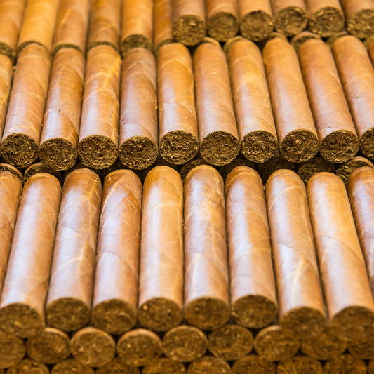 Cigar 200-Pack
